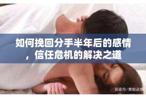 如何挽回分手半年后的感情，信任危机的解决之道