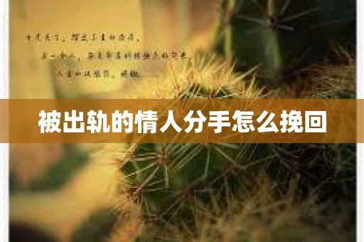 被出轨的情人分手怎么挽回