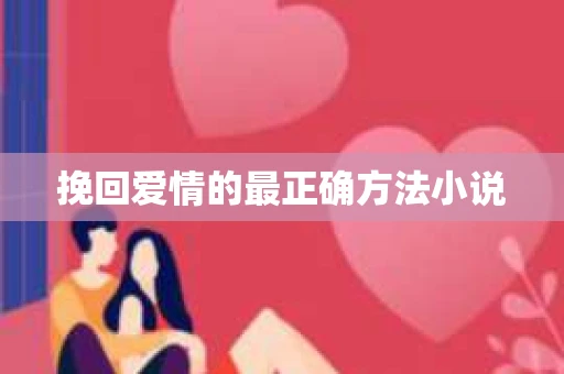 挽回爱情的最正确方法小说