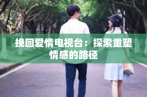 挽回爱情电视台：探索重塑情感的路径