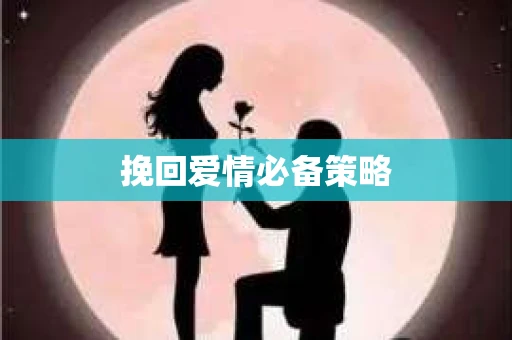 挽回爱情必备策略