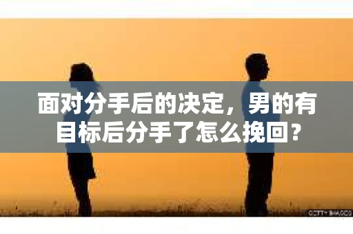 面对分手后的决定，男的有目标后分手了怎么挽回？