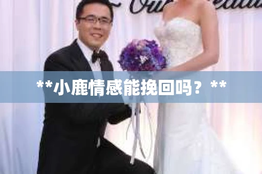**小鹿情感能挽回吗？**