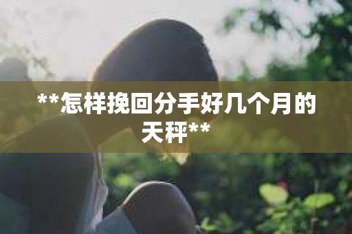 **怎样挽回分手好几个月的天秤**