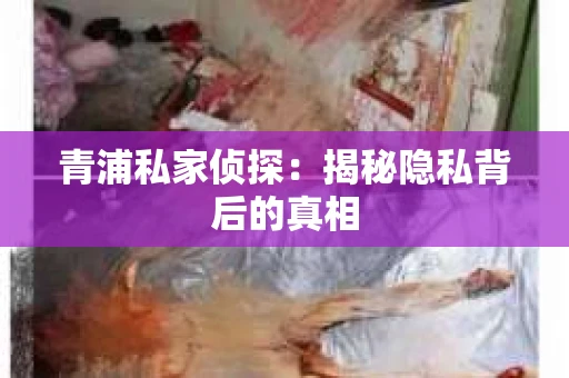 青浦私家侦探：揭秘隐私背后的真相