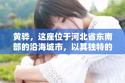 黄骅，这座位于河北省东南部的沿海城市，以其独特的地理位置和丰富的历史文化而闻名。然而，在这座城市中，还有一群人，他们以另一种方式默默守护着社会的公平与正义——私家侦探。今天，我们就来聊聊黄骅的私家侦探，看看他们是如何在这个城市中发挥作用的。