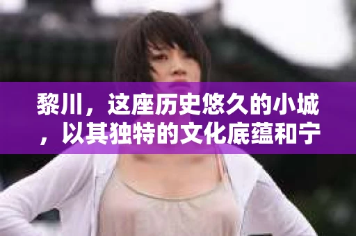 黎川，这座历史悠久的小城，以其独特的文化底蕴和宁静的生活节奏吸引着无数游客。然而，在这样一个看似平静的城市里，你是否会好奇，有没有私家侦探机构的存在呢？今天，就让我带你一探究竟。