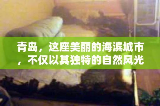 青岛，这座美丽的海滨城市，不仅以其独特的自然风光著称，更以其发达的经济和便捷的交通吸引了众多企业和个人。然而，随着商业活动的日益频繁，债务问题也日益凸显。这时，青岛专业催收公司的出现，无疑为解决债务问题提供了一种高效、合法的途径。