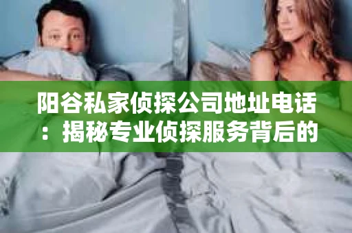 阳谷私家侦探公司地址电话：揭秘专业侦探服务背后的故事