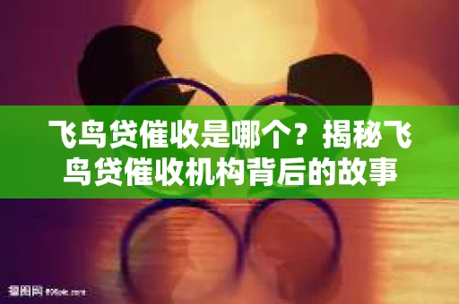 飞鸟贷催收是哪个？揭秘飞鸟贷催收机构背后的故事