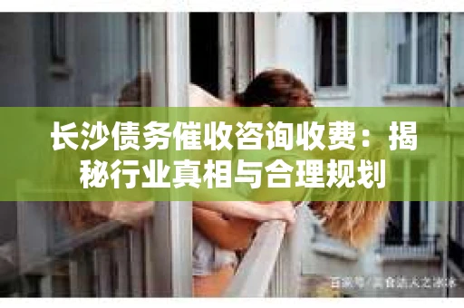 长沙债务催收咨询收费：揭秘行业真相与合理规划