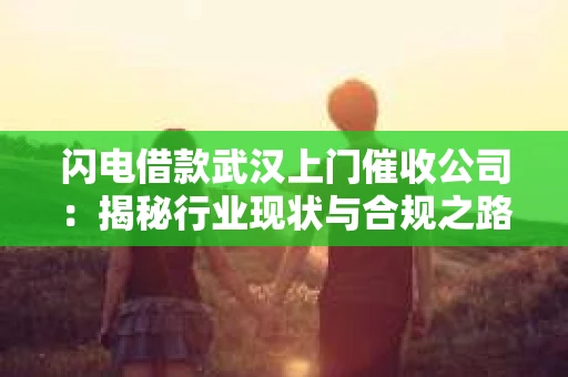 闪电借款武汉上门催收公司：揭秘行业现状与合规之路