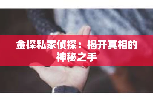 金探私家侦探：揭开真相的神秘之手