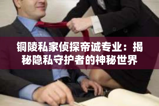 铜陵私家侦探帝诚专业：揭秘隐私守护者的神秘世界