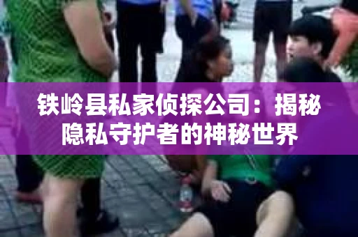 铁岭县私家侦探公司：揭秘隐私守护者的神秘世界