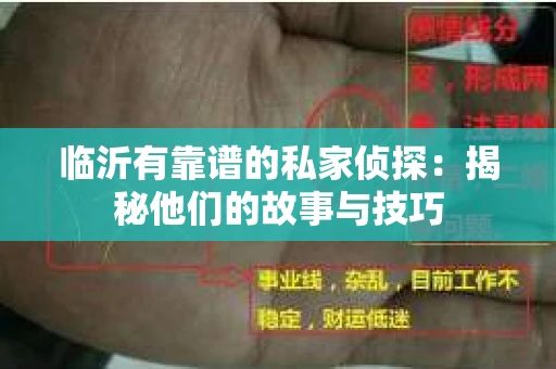 临沂有靠谱的私家侦探：揭秘他们的故事与技巧