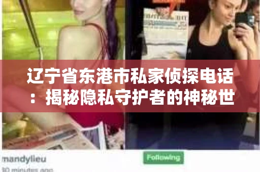 辽宁省东港市私家侦探电话：揭秘隐私守护者的神秘世界