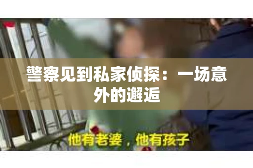 警察见到私家侦探：一场意外的邂逅