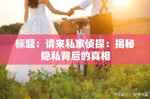 标题：请来私家侦探：揭秘隐私背后的真相