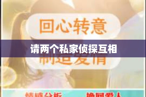 请两个私家侦探互相