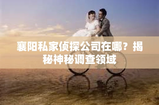 襄阳私家侦探公司在哪？揭秘神秘调查领域