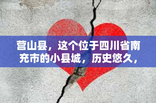 营山县，这个位于四川省南充市的小县城，历史悠久，风景秀丽。但在这个宁静的小县城里，你是否会好奇，有没有私家侦探的存在呢？今天，我就来和大家聊聊这个话题。