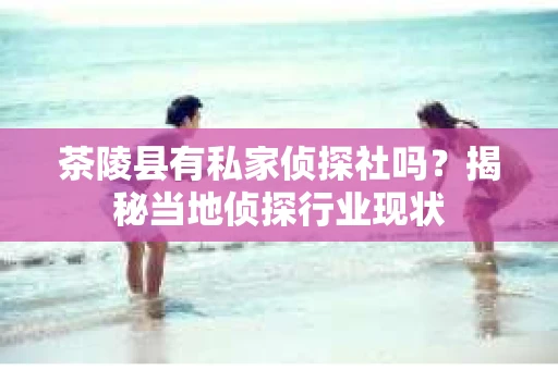 茶陵县有私家侦探社吗？揭秘当地侦探行业现状