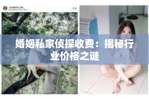 婚姻私家侦探收费：揭秘行业价格之谜