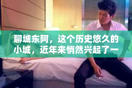 聊城东阿，这个历史悠久的小城，近年来悄然兴起了一股新的服务潮流——私家侦探。今天，我们就来聊聊这个话题，看看在聊城东阿，私家侦探是如何成为人们生活中的一部分的。