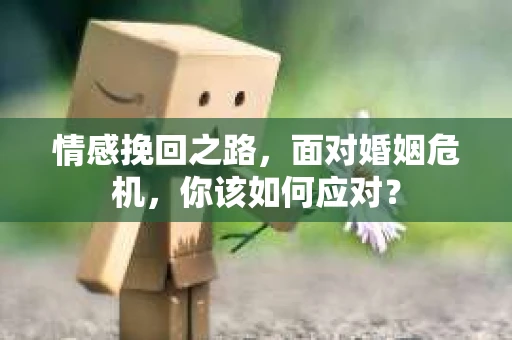 情感挽回之路，面对婚姻危机，你该如何应对？