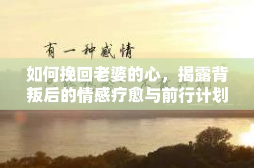 如何挽回老婆的心，揭露背叛后的情感疗愈与前行计划