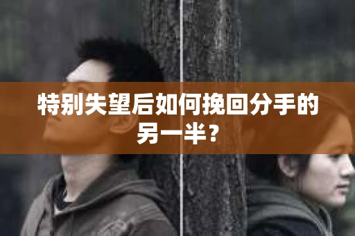 特别失望后如何挽回分手的另一半？