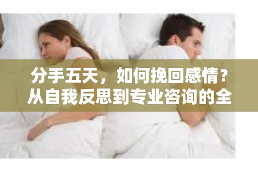 分手五天，如何挽回感情？从自我反思到专业咨询的全面解决方案