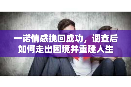 一诺情感挽回成功，调查后如何走出困境并重建人生