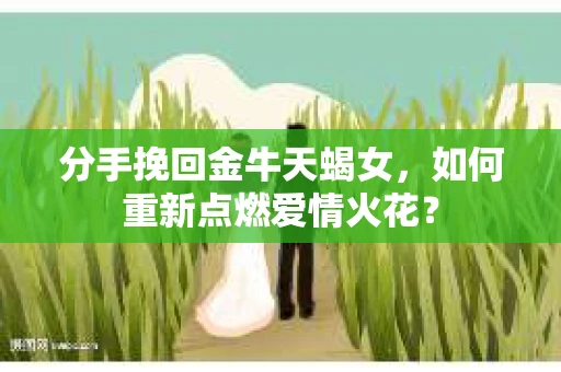 分手挽回金牛天蝎女，如何重新点燃爱情火花？