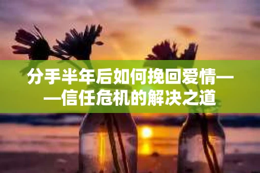 分手半年后如何挽回爱情——信任危机的解决之道